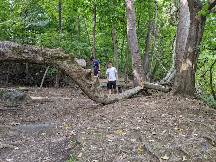 Mayo's Landing Picture 6