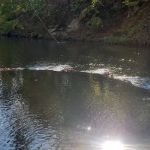 Silver Lake Park