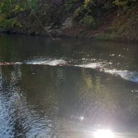 Silver Lake Park ico
