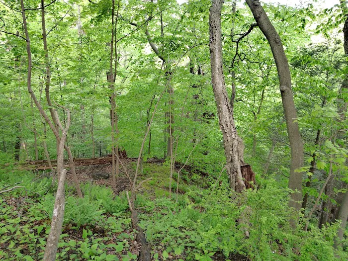 Croton Gorge Trail Picture 9