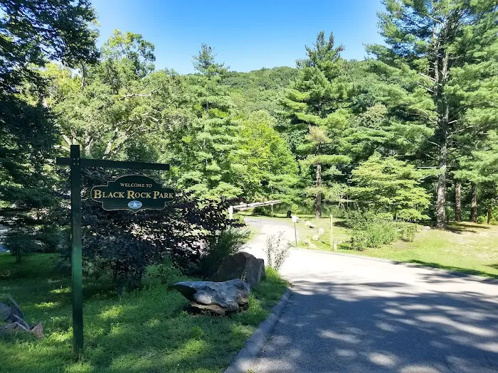 Black Rock Park Picture 7