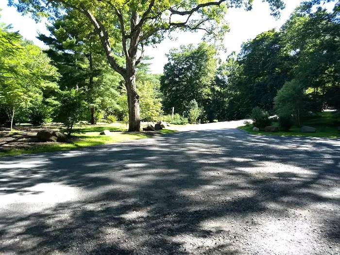 Black Rock Park Picture 8