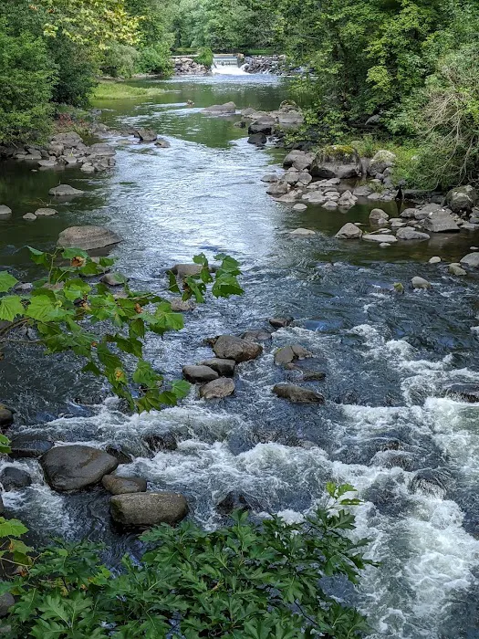 Black Rock Park Picture 10