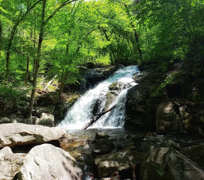 Black Rock Park Picture 9