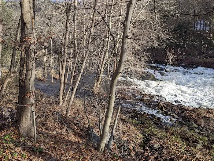 Black Rock Park Picture 6