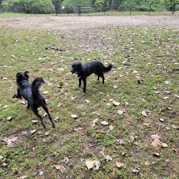 Black Rock Dog Park Picture 1