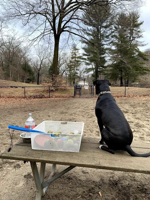 Black Rock Dog Park Picture 7
