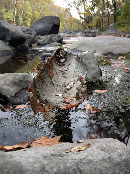 Silver Lake Park & Beach Croton Picture 6