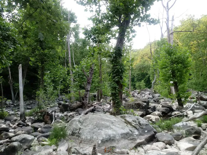 Silver Lake Park & Beach Croton Picture 4