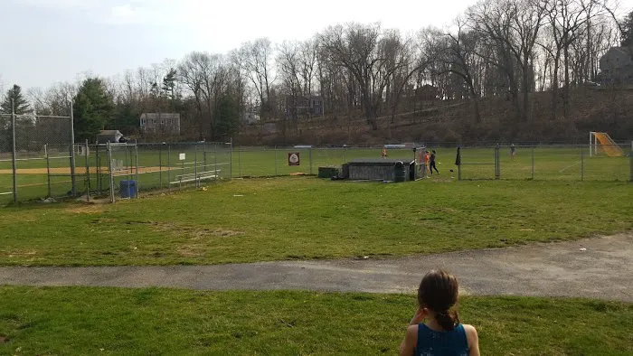 Firefighters Memorial Field And Manes Fields Picture 8