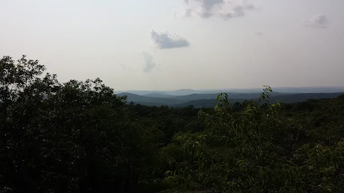 Turkey Mount Park Picture 9