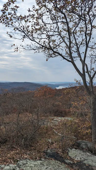 Turkey Mountain Parking Picture 9