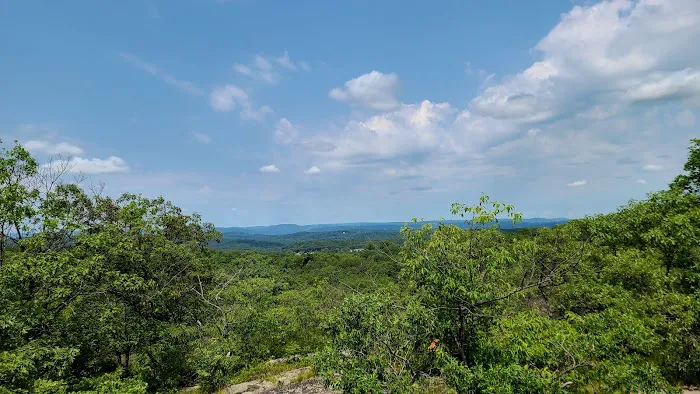 Turkey Mountain Parking Picture 10