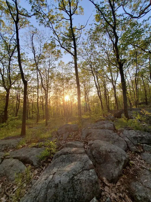 Turkey Mountain Nature Preserve Picture 1