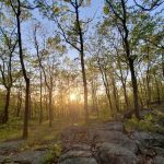 Turkey Mountain Nature Preserve