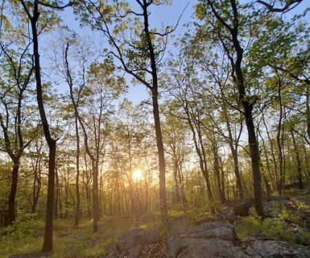 Turkey Mountain Nature Preserve