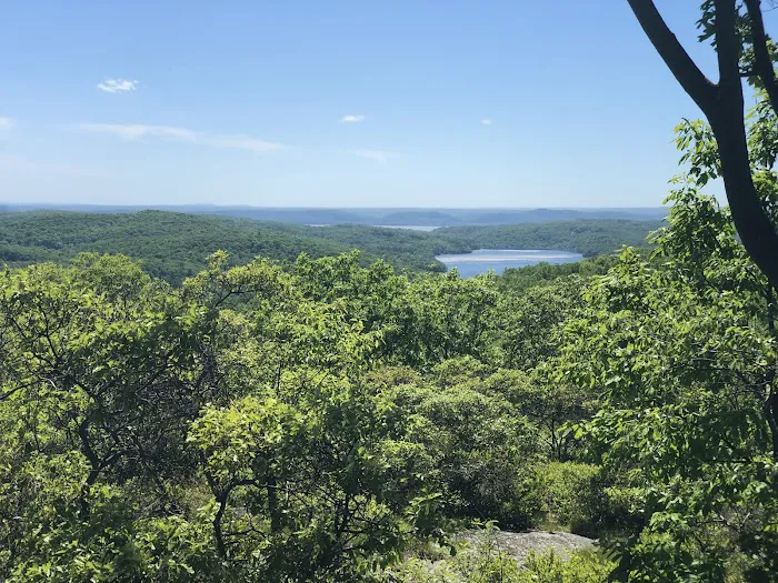 Turkey Mountain Nature Preserve Picture 6