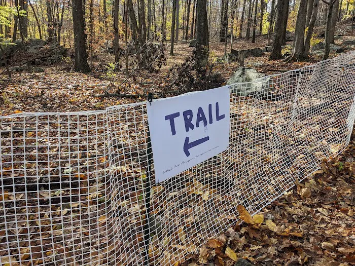 Turkey Mountain Nature Preserve Picture 7