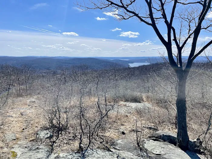 Turkey Mountain Nature Preserve Picture 10
