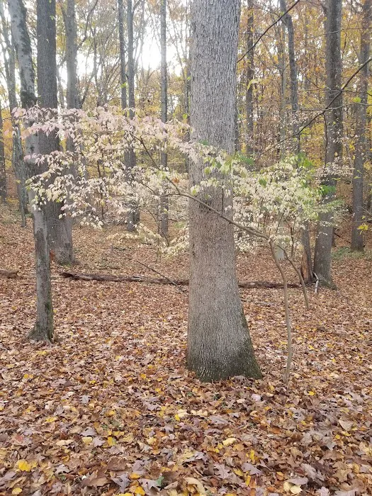 Turkey Mountain Nature Preserve Picture 5