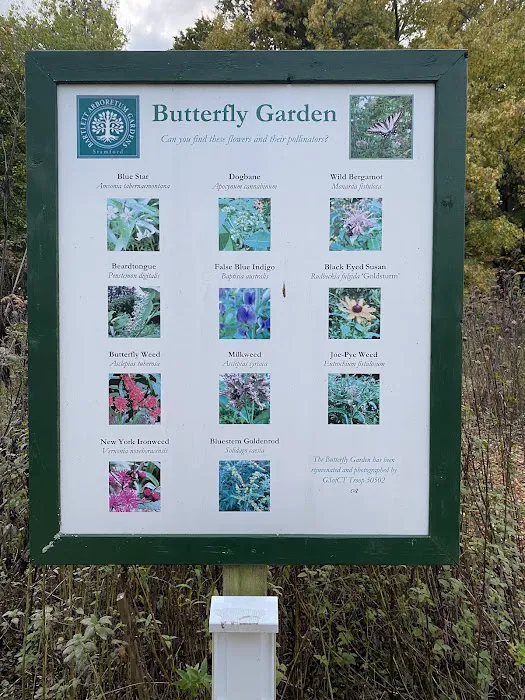 Butterfly Garden Picture 2