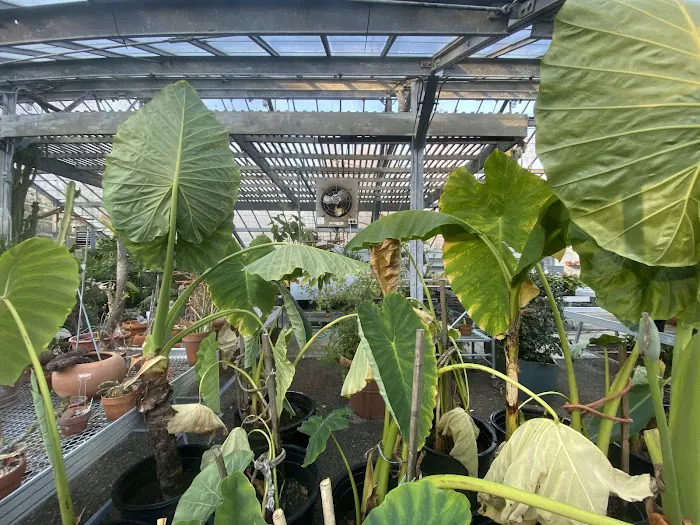 The Greenhouse @ The Bartlett Arboretum Picture 5