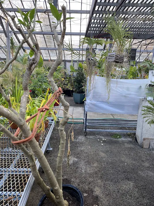 The Greenhouse @ The Bartlett Arboretum Picture 3