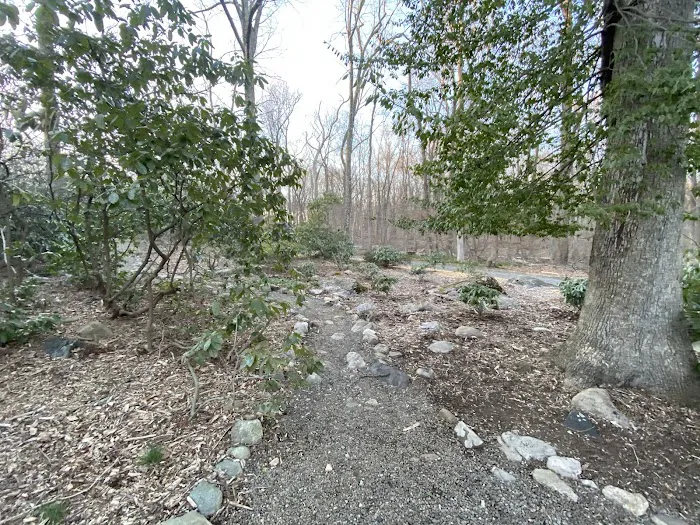 The Mehlquist Garden Picture 1
