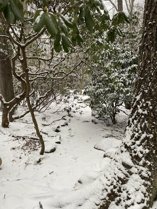 The Mehlquist Garden Picture 4