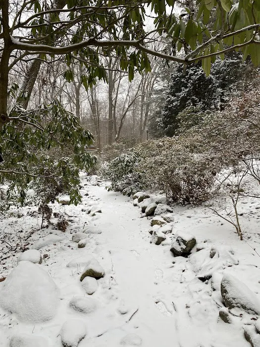 The Mehlquist Garden Picture 6