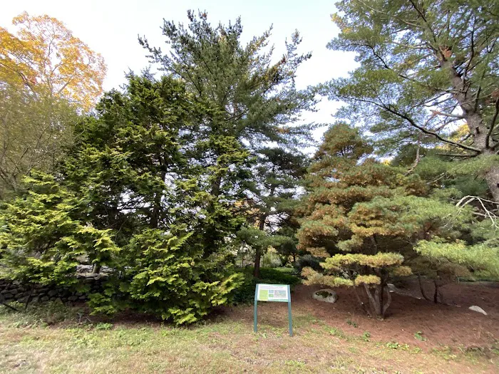 The Frank Bartlett Heisinger Conifer Garden @ The Bartlett Arboretum Picture 9