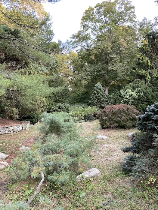 The Frank Bartlett Heisinger Conifer Garden @ The Bartlett Arboretum Picture 10