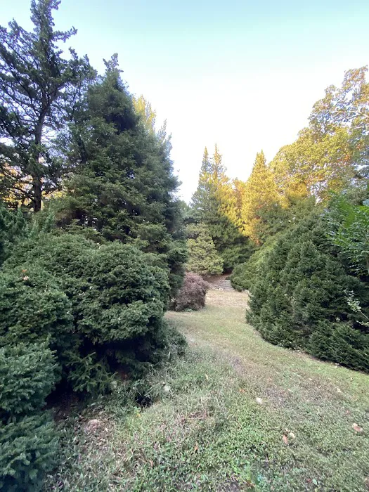The Frank Bartlett Heisinger Conifer Garden @ The Bartlett Arboretum Picture 4
