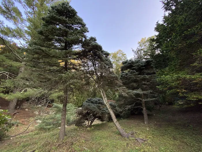 The Frank Bartlett Heisinger Conifer Garden @ The Bartlett Arboretum Picture 3