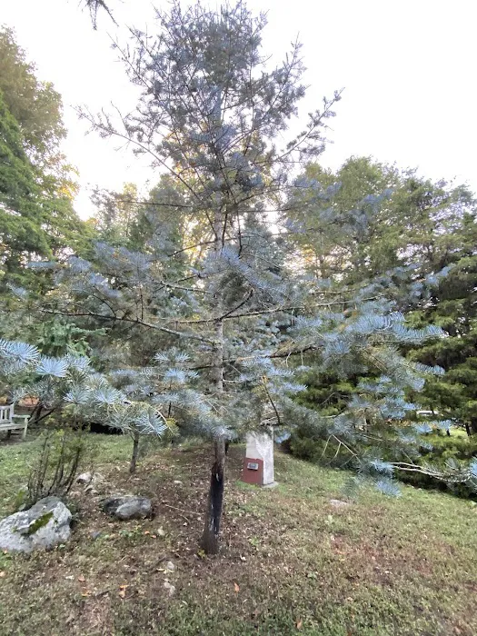 The Frank Bartlett Heisinger Conifer Garden @ The Bartlett Arboretum Picture 7