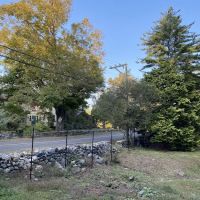The Frank Bartlett Heisinger Conifer Garden @ The Bartlett Arboretum ico