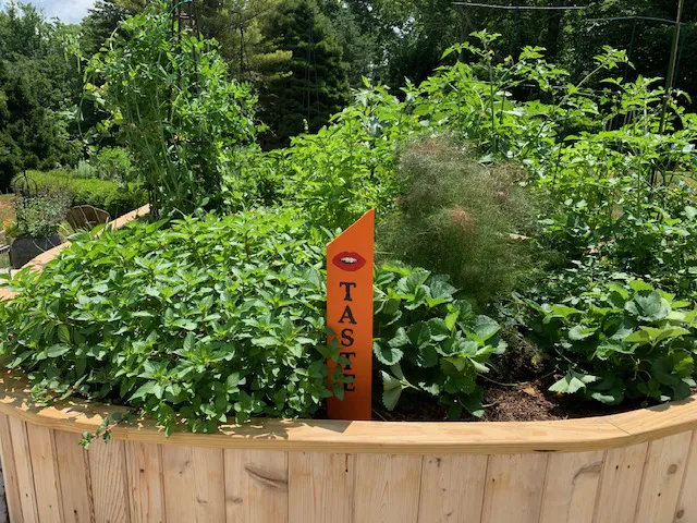 The Sensory Garden Picture 4