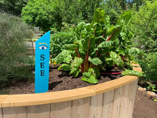The Sensory Garden Picture 2