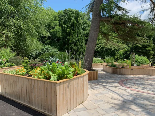 The Sensory Garden Picture 3