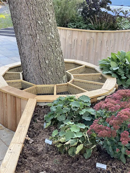 The Sensory Garden Picture 6