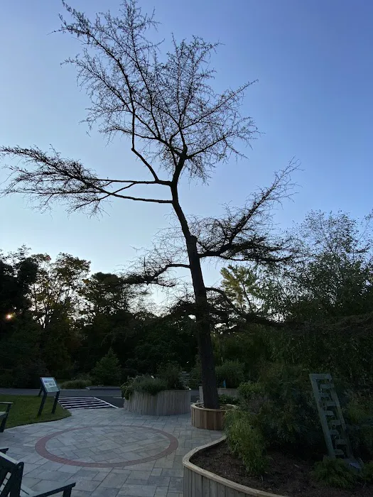 The Sensory Garden Picture 5