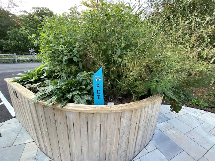The Sensory Garden Picture 9