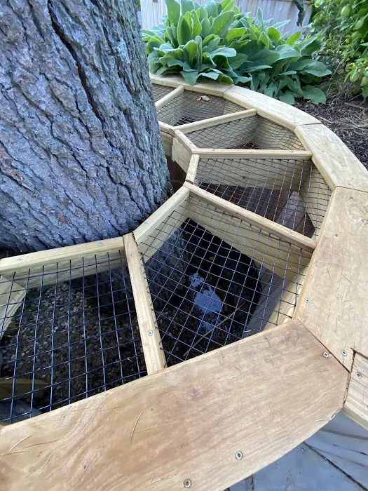 The Sensory Garden Picture 7