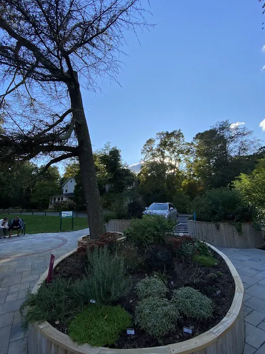 The Sensory Garden Picture 10