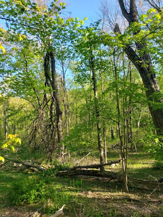 Westchester Wilderness Walk Picture 4