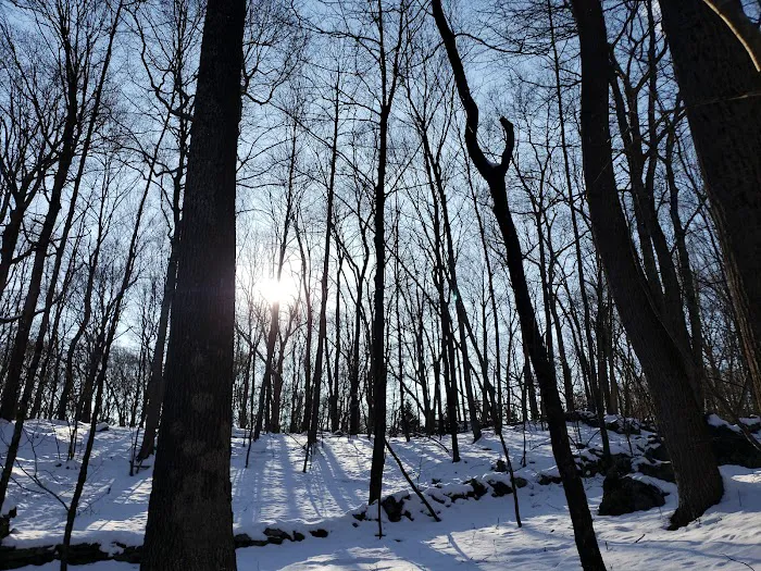 Westchester Wilderness Walk Picture 3