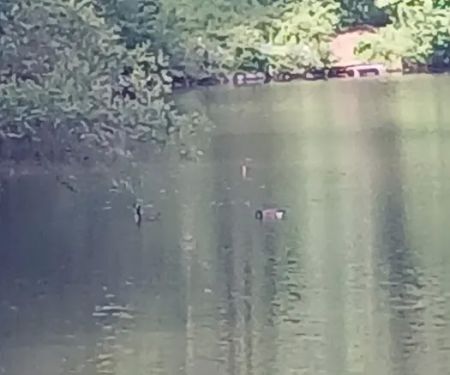 Laurel Ponds Preserve