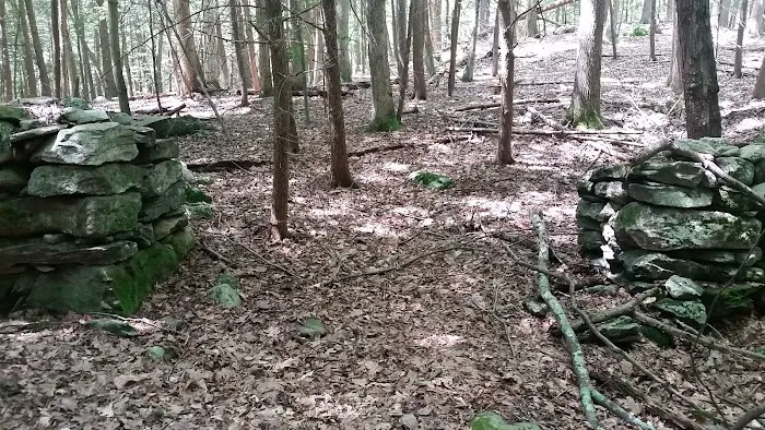 Bye Preserve, Pound Ridge Land Conservancy Picture 8
