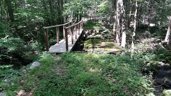 Bye Preserve, Pound Ridge Land Conservancy Picture 10