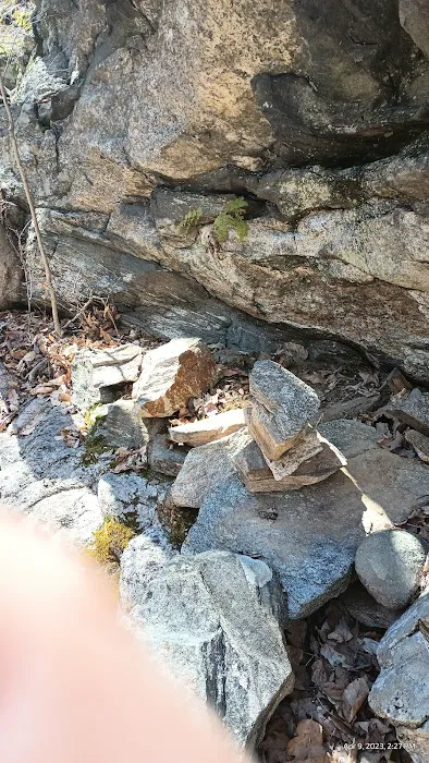 Bye Preserve, Pound Ridge Land Conservancy Picture 1